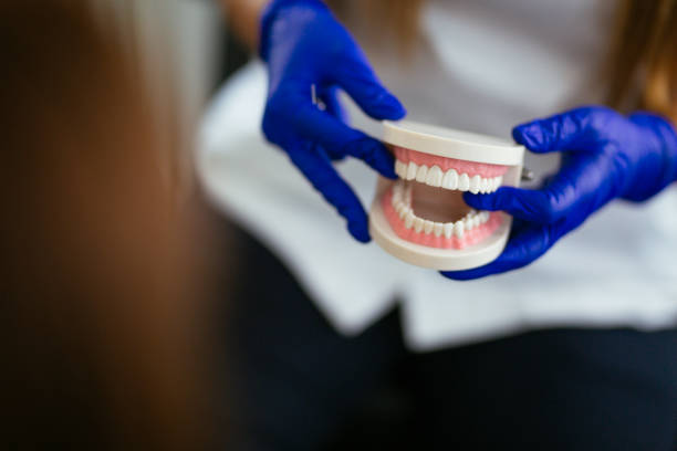 Professional  Holistic Dental Services in Green Valley, CA